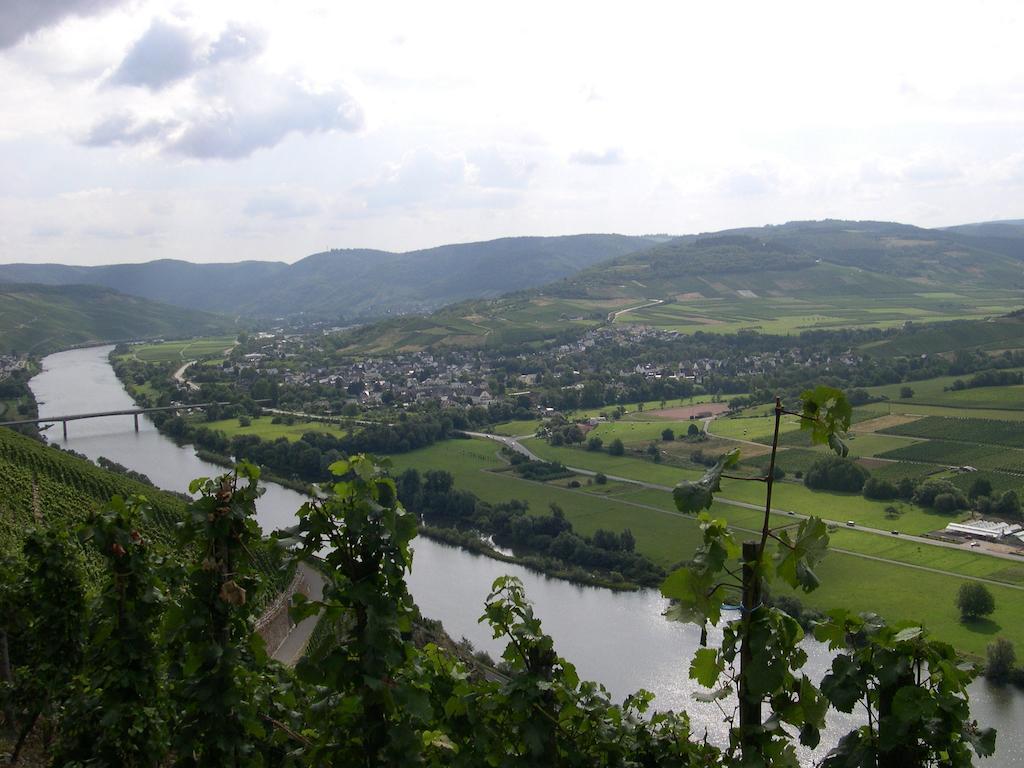 Juffer Flair Restaurant Gaestehaus Brauneberg Ruang foto
